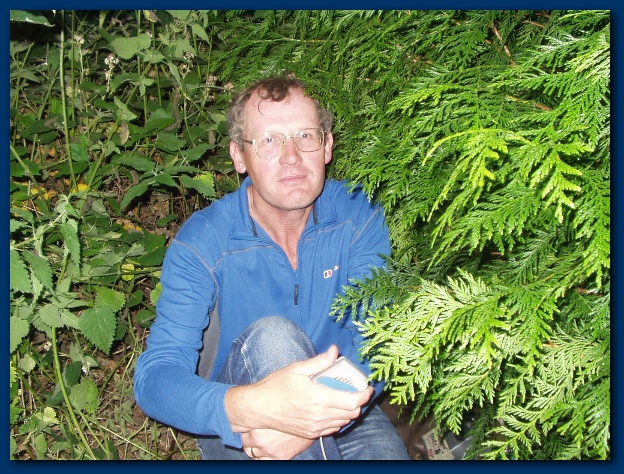 600x449 pixels (211K)